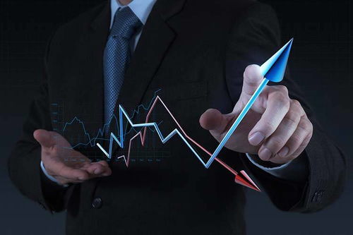 拓商之道 拼多多運(yùn)營(yíng)實(shí)戰(zhàn)攻略，告別“沒流量”困境的站內(nèi)推廣秘笈